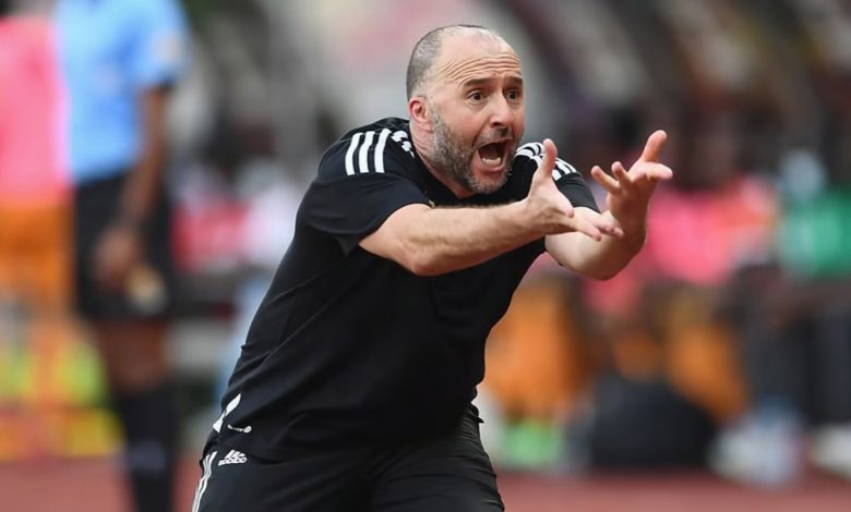 Djamel Belmadi prépare sa revanche à la CAN