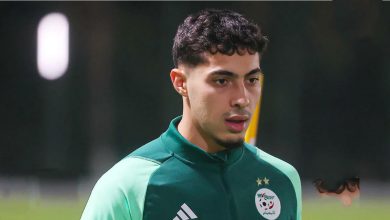 Farès Chaïbi