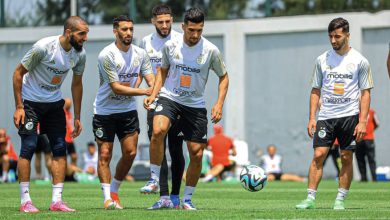 Les Verts affûtent leurs armes