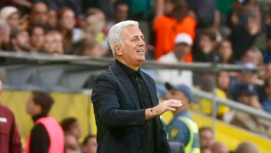 Vladimir Petkovic lors du match Suède - Algérie