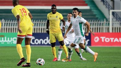 Algérie - Zimbabwé