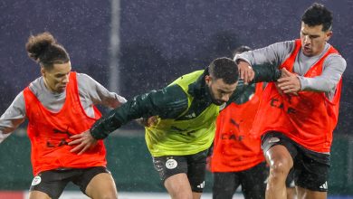 Les Verts dans le bain