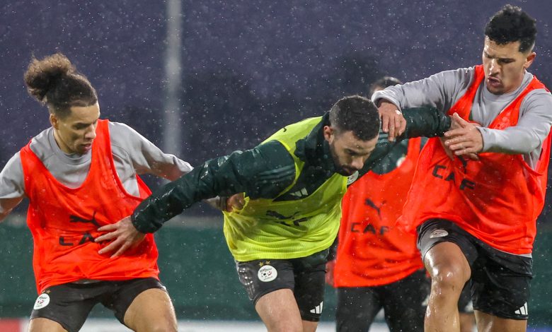 Les Verts dans le bain